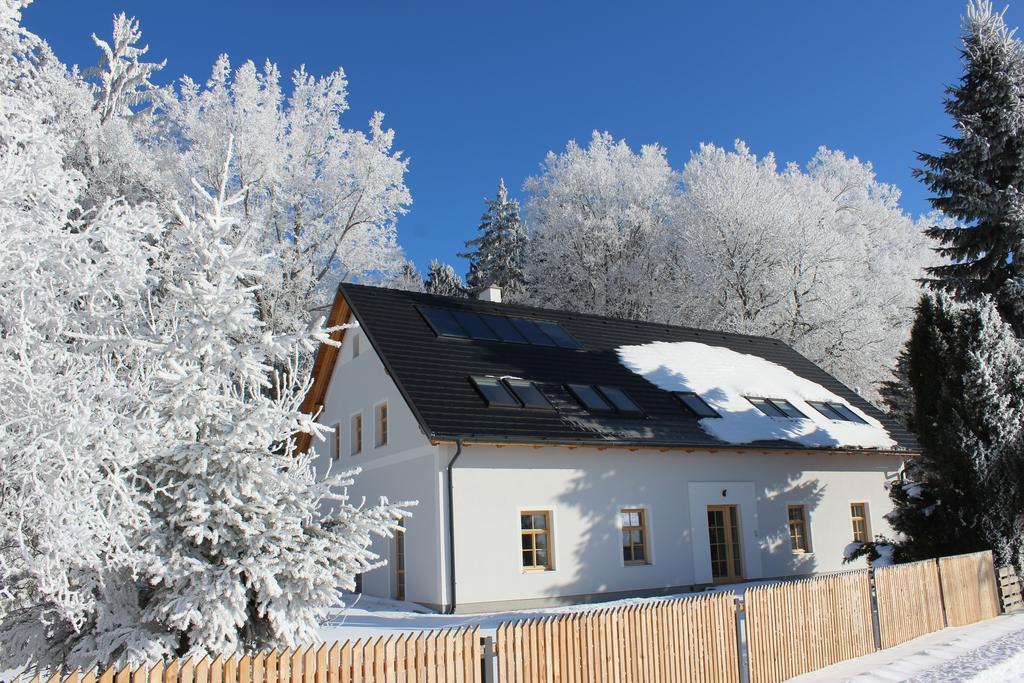 Hotel Penzion Fořtovna Castrov Esterno foto