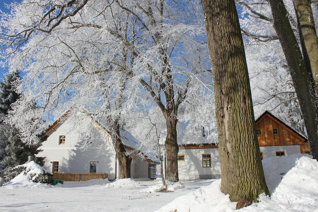 Hotel Penzion Fořtovna Castrov Esterno foto